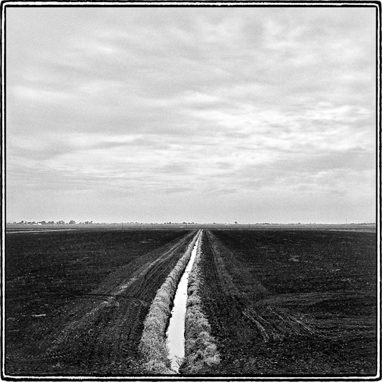Irrigation Ditch, Sacramento-San Joaquin River Delta, California  1993