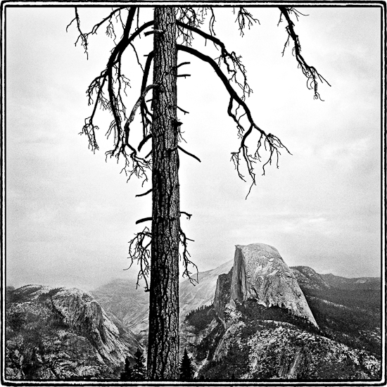 Half Dome, Yosemite, California  1998